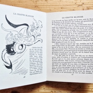 Madame D`Aulnoy - La Chatte Blanche suivie de La Princesse Rosette (editie hardcover) - Img 5