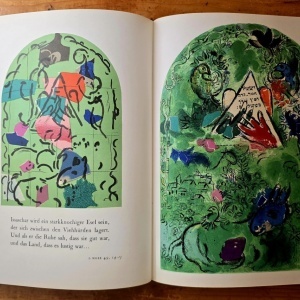 Marc Chagall - Glasmalereien fur Jerusalem (editie hardcover) - Img 8