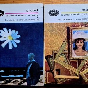 Marcel Proust - La umbra fetelor in floare (2 vol.)