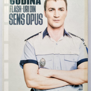 Marian Godina - Flash-uri din sens opus