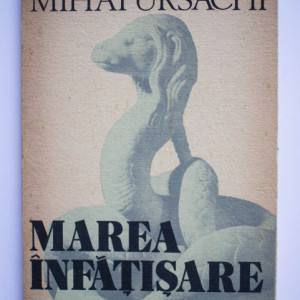 Mihai Ursachi - Marea infatisare