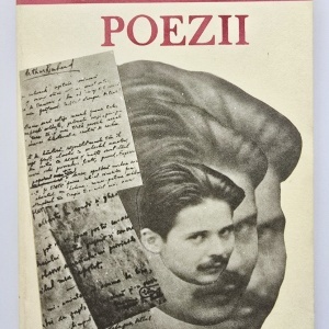 Nicolae Labis - Poezii