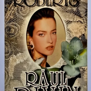 Nora Roberts - Raul divin