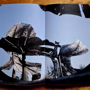 Olivier Strebelle - Journal d`un sculpteur (editie hardcover, in limba franceza) - Img 4