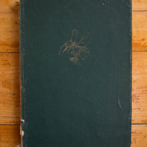 P. Raicu, M. Nachtigal - Citogenetica. Principii si metode (editie hardcover) - Img 2