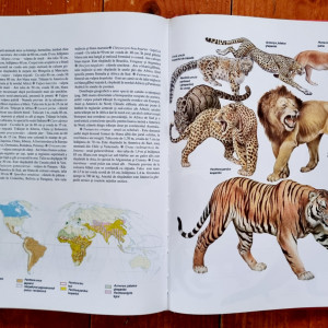 Prof. Anuta Ionescu-Andrei - Atlas zoologic (editie hardcover) - Img 5