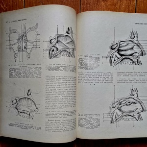 Victor Papilian - Anatomia omului. I. Aparatul locomotor, II. Splanhnologia (2 vol., editie hardcover)