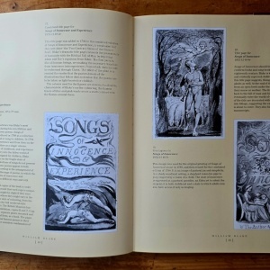 William Blake (1757-1827) (exhibition catalog, 15 September - 19 November 2000, Imperial Stables Prague Castle) (editie hardcover) - Img 2