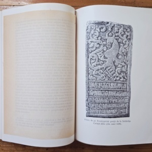 Zamfir C. Arbure - Basarabia in secolul XIX (editie antebelica, princeps, frumos relegata) - Img 11