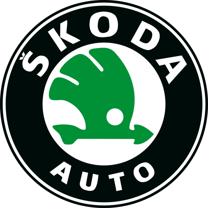 Kit Directie Skoda