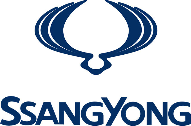 Kit Directie Ssang Young