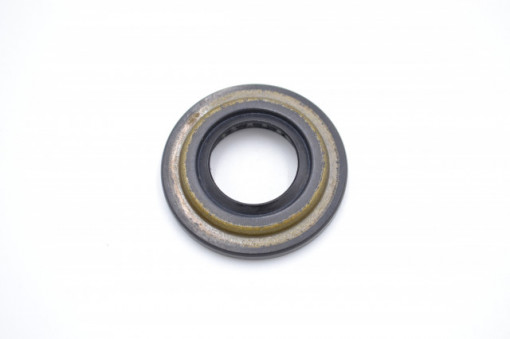 Simering CRA 19*34.6*4.3/6.3, BPI, A81, 19X34,6X4,3/6,3, 3801908, F00040