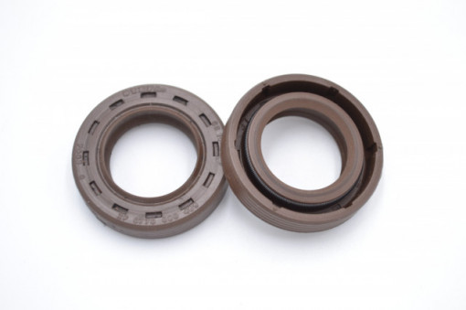 Simering FKM FNI 19x32x6.9/7, BPIg, A75, F00366