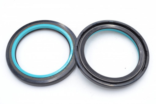 Simering OEM K 42*59*5.5, TN BI, N06, 45X59X5,5, 1900551, F00551