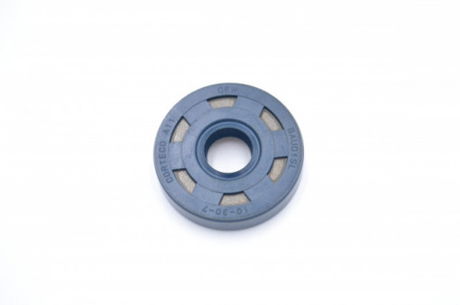 Simering C 10*30*7, BPI, A03, 10X30X7, 0300096,