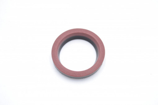 Simering TG 22.21*28.9*5.2/6.5, M, C55, 22,21X28,9X5,2/6,5, 1700023,