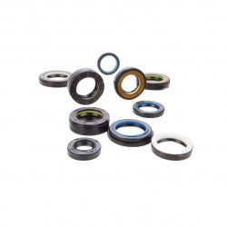 Simering OEM CR 25*39.3*10/12.7, AT BI, F89, 25X39,3X10/12,7, 1332956, F00129
