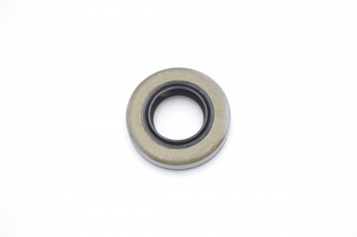 Simering TCS 16*30*6.3, CM BPISRD, A18, 16X30X6.3, 3305954,