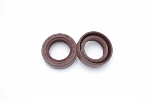 Simering FKM TCS 15x24x7, BPI, A12