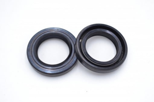 Simering R1 TCS 19.5x30x5/6, BP2BI, B32