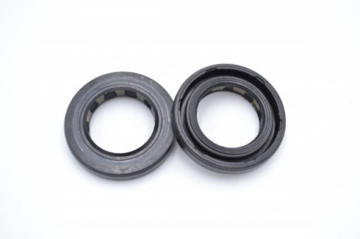 Simering TG 19*30*5/5.5, BP BI, A63, 19X30X5/5,5, 1700993, F00993