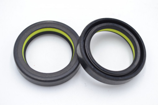 Simering R1 TCS 27.5x38x8, TI, H89