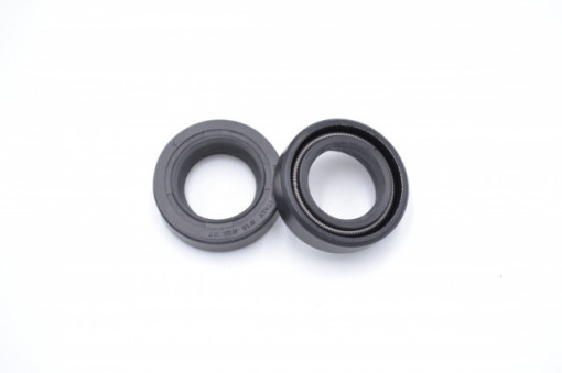 Simering TGE 15x24x7, SDu, A12, F00998
