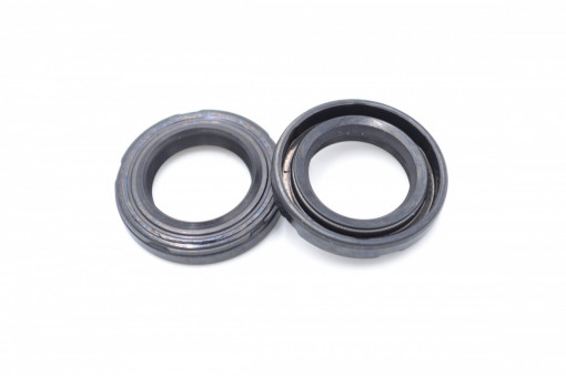 Simering TCS 19*30*5/6, BP u, A65, 19X30X5/6, 3302439, 202439
