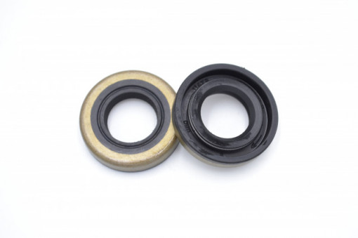 Simering CHO 16*30*6.2, CM BPISRS, A18, 16X30X6,2, 0211478,