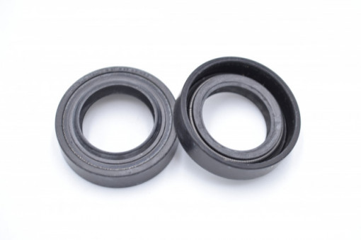 Simering TGE 21*33*8/9.5, BP, C05, 21X33X8/9,5, 1000605, F00605