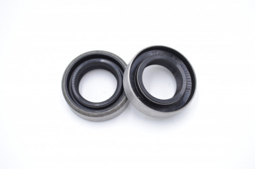 Simering SKT 17x28x8, CMDA, A22
