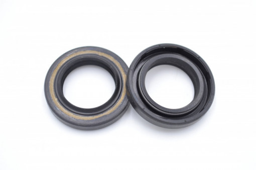 Simering TG 21*33*5.5/7, BP BI, C02, 21X33X5,5/7, 1701022, F01022
