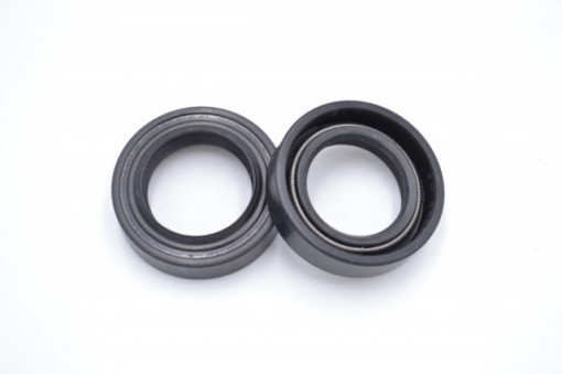 Simering TGE 19x29x7/8, BPBI, A62, F00459M