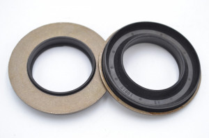 Simering C 28x47x4.27/5.5, CMBPBI, J69
