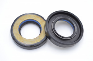 Simering FNI 23x41x8.5, TIuy, D20, F00926