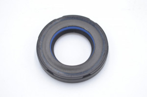 Simering R1 N 24.5x41.3x7.5, TIuy, F01