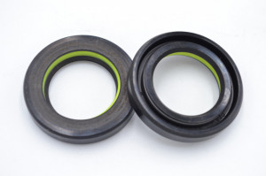 Simering R1 TCS 24.5x38x8.5, TIy, E88, F00448XA