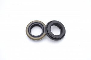 Simering TCS 15*24*4.3/7, CM AEBPI, A11, 15X24X4,3/7, 3313084,