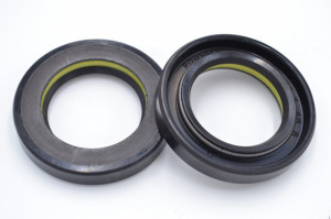 Simering TCS 29.5*46*8, TI g, K22, 29.5X46X8, 3305583,
