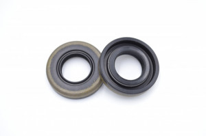 Simering TG 16*30*6.5, CM BPISRD, A18, 16X30X6,5, 1700149, F00149