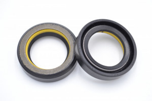 Simering C 24*35*8.5, TI yz, D69, 24X35X8,5, 0332052, F00783