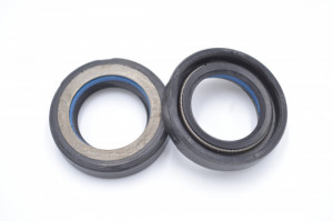 Simering CHO 22x35x8.5, TIuz, C33