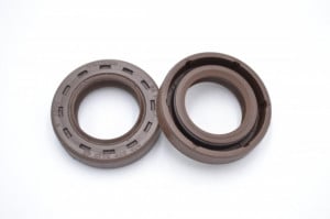 Simering FKM FNI 19x32x6.9/7, BPIg, A75, F00366