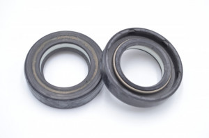 Simering HNBR CHO 23*38*9, TI z, D15, 23X38X9, 0203933HNBR,