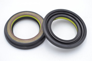 Simering N 31x43.7/48x4.2/8.3, TIg, L36