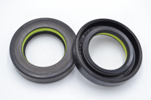 Simering R1 TCS 24.5x39.6x8.5, TIy, F01, F01607