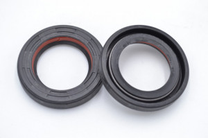 Simering R1 TGE 24.5x38x6.5, TIguz, E88, F00448X