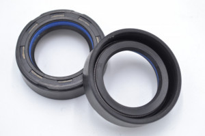 Simering R1 TGE 25.5x38x11, TIuz, G33, F01068X
