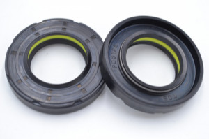 Simering TCS 27.7*48*9/10, TI BPuy, I64, 27.7X48X9/10, 3306126,