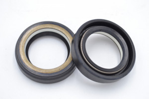 Simering N 25x37x9, TIu, F47